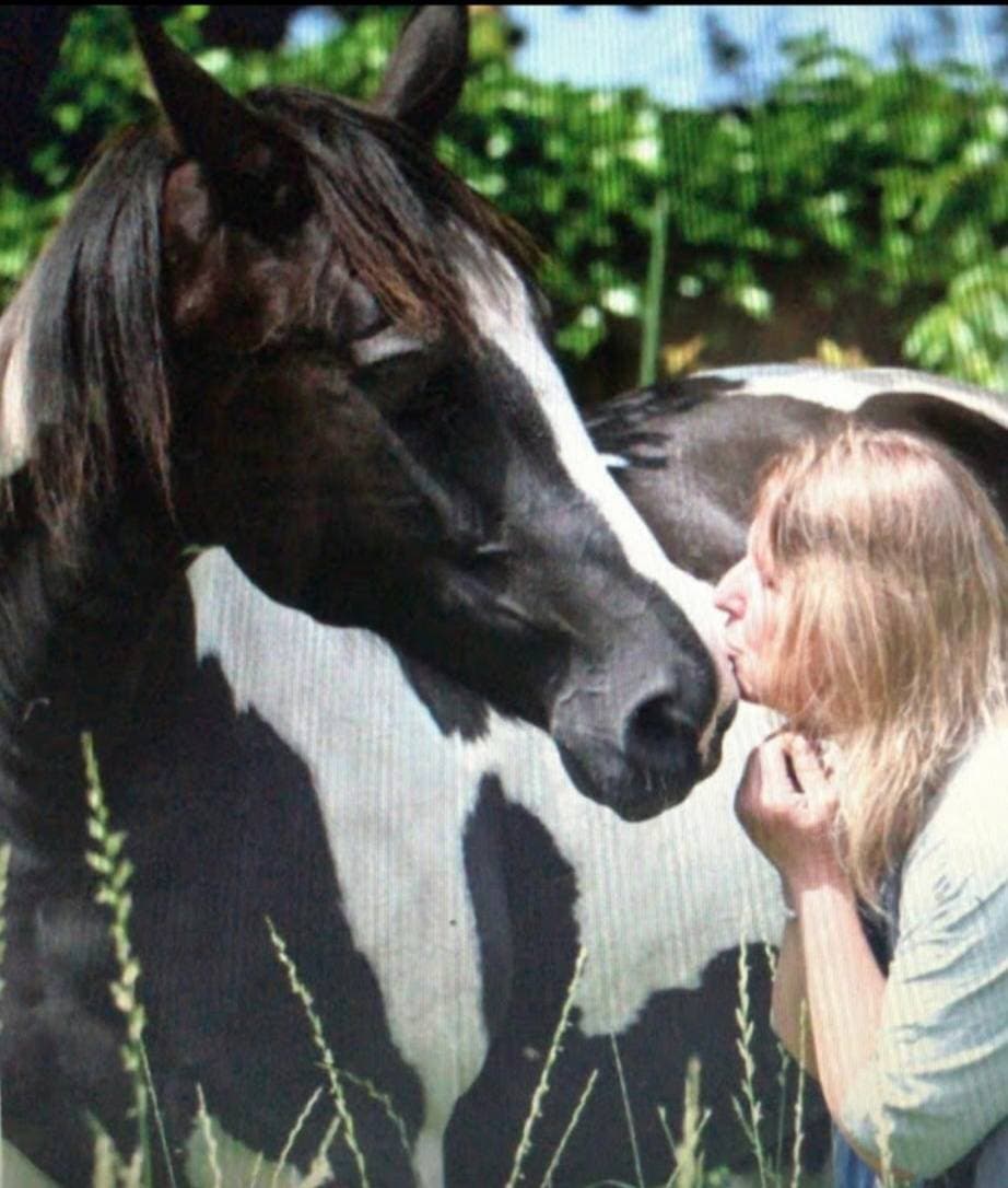 Connection with Animals
